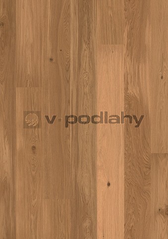 Dub Pop - olej přírodní