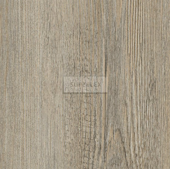 Colombia Pine 24243